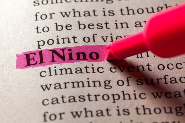 Dampak Kesehatan El Nino pada Anak di Indonesia: Panduan Klinis untuk Dokter