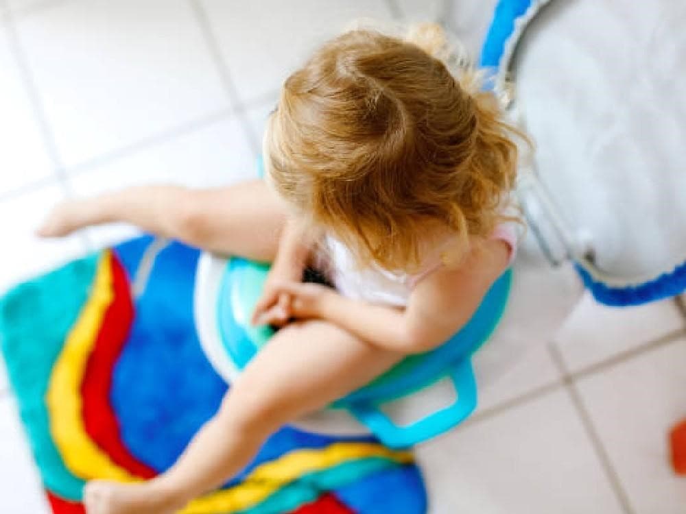 Kapan Anak Siap Diajarkan Toilet Training?