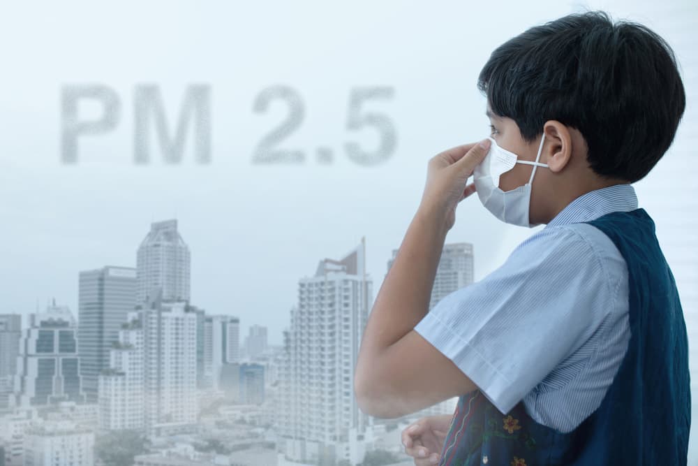 Kualitas Udara Memburuk, Benarkah Risiko ISPA Meningkat?