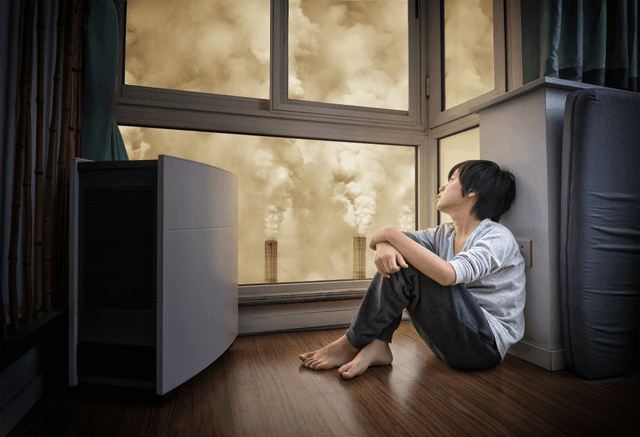 Air Quality Index (AQI): Cara Membaca dan Menginterpretasikan Data Kualitas Udara