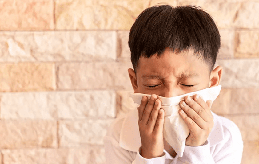Human Metapneumovirus: Potensi Wabah Baru?