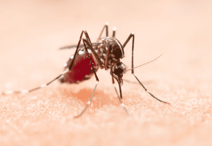 Diagnosis dan Tatalaksana Malaria pada Anak di Indonesia