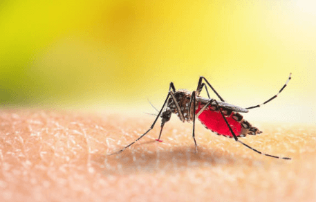 Diagnosis dan Tatalaksana Chikungunya pada Anak di Indonesia