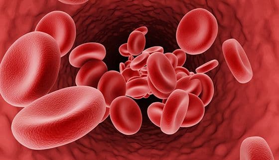 Patogenesis, Diagnosis, dan Tatalaksana Thalassemia