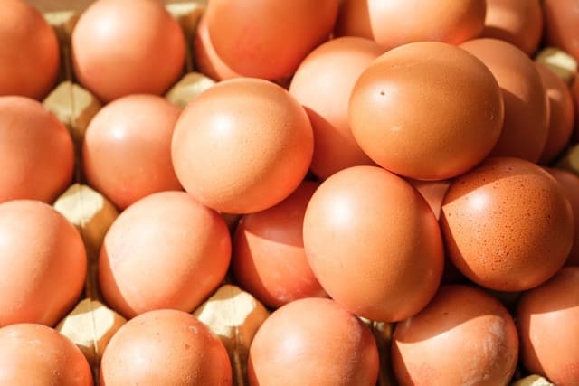 Telur Tidak Menyebabkan Bisul