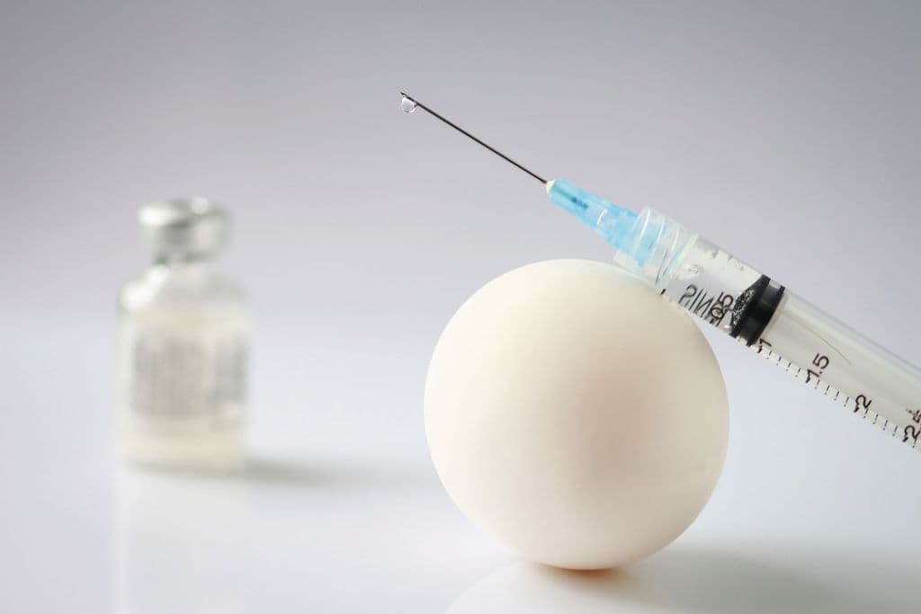 Apakah Anak dengan Alergi Telur Boleh Vaksin Flu?