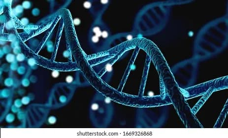 Precision Medicine di Pediatri