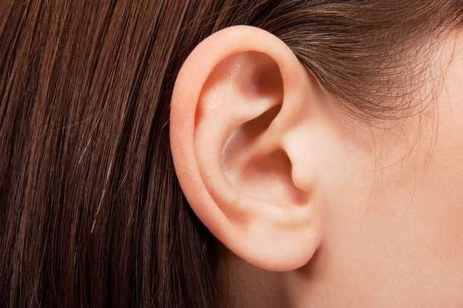 Sekilas Mengenai Otitis Media