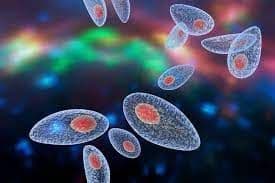 Toksoplasmosis Kongenital
