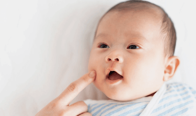 Rooting Reflex: Tinjauan Klinis dan Implikasi bagi Praktik Dokter Anak
